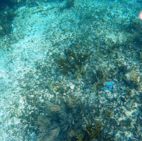 Playa Ruinas